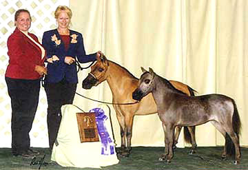 2004 AMHA Western Championship Top 5 - Solid Color Mares